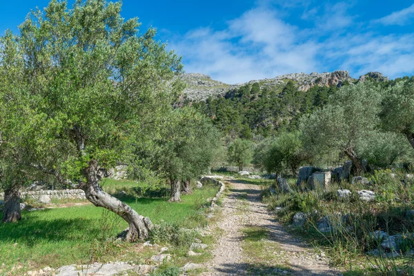 finca en escorca con proyecto de reforma_4
