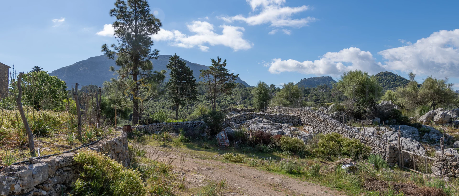 landsted i escorca med renoveringsprojekt_25