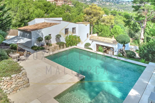 mallorca villa puerto andratx pool 10