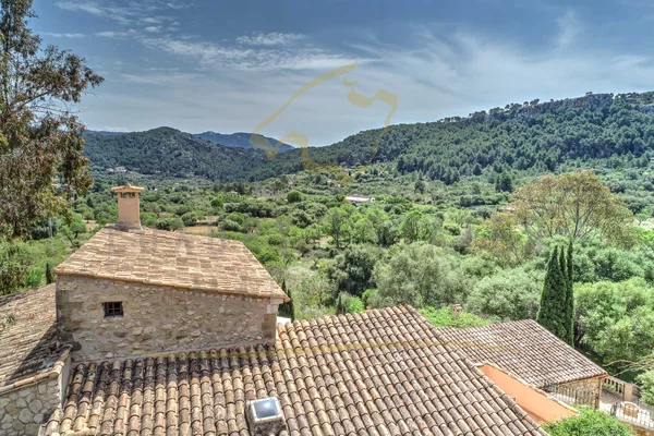 mallorca finca andratx 14