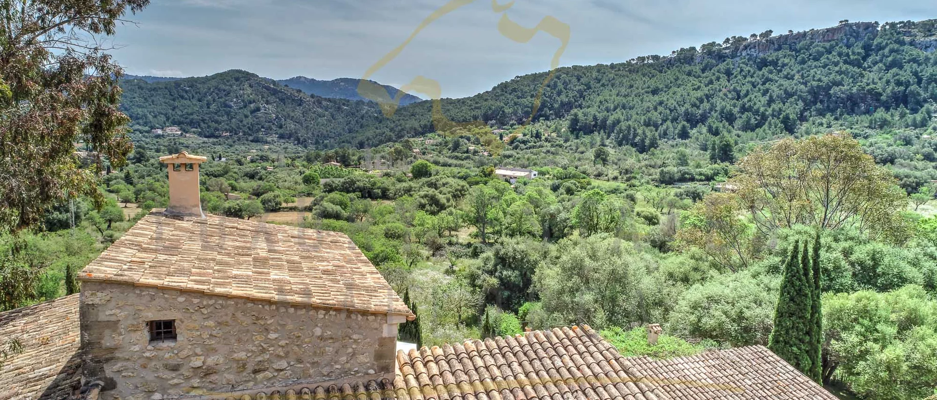mallorca finca andratx 14 mallorca finca andratx 14