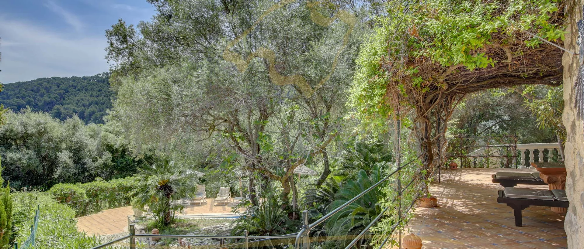 grosse finca in s'arraco 12 grosse finca in s'arraco 12