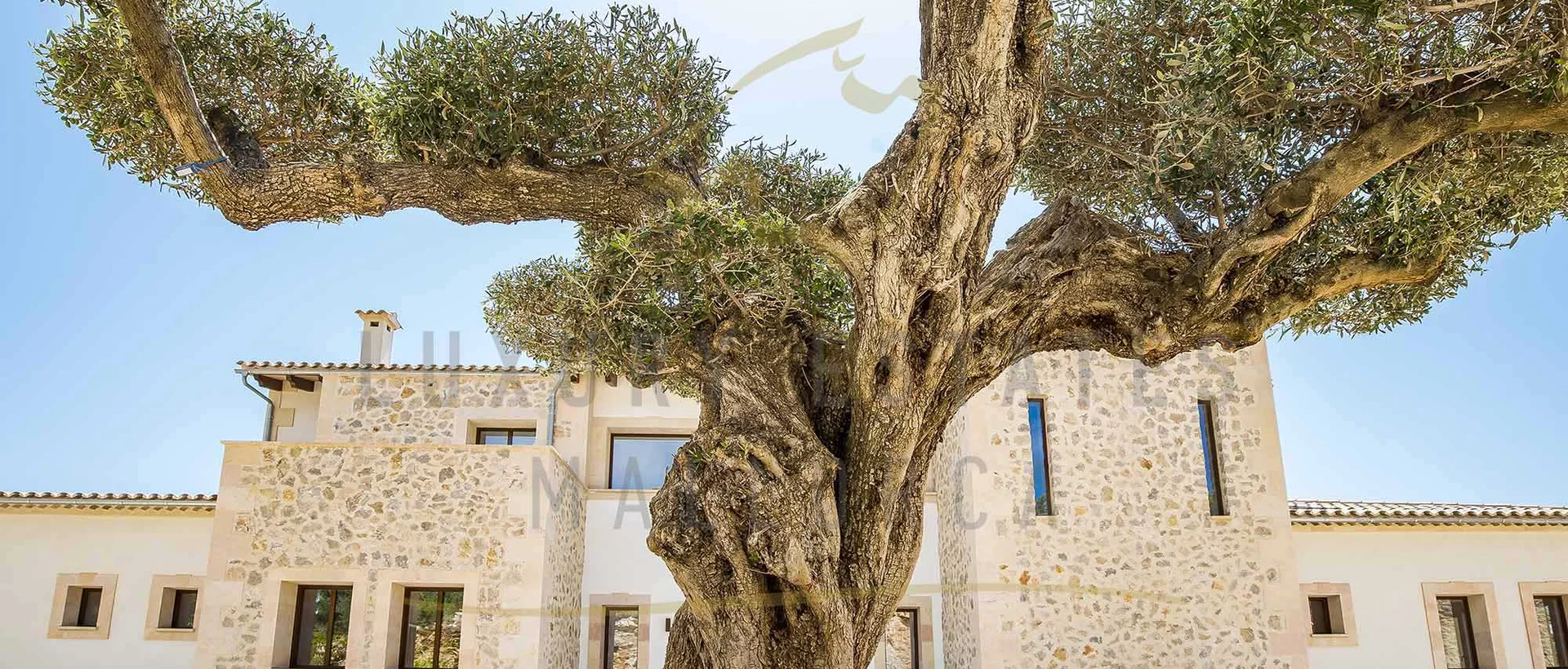 mallorca finca meerblick port andratx 20