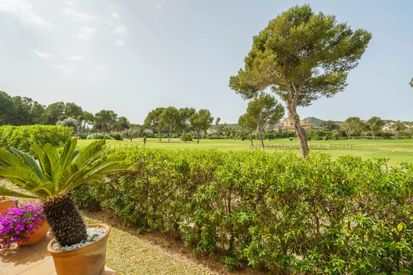 apartamentosanta ponsa forat  1