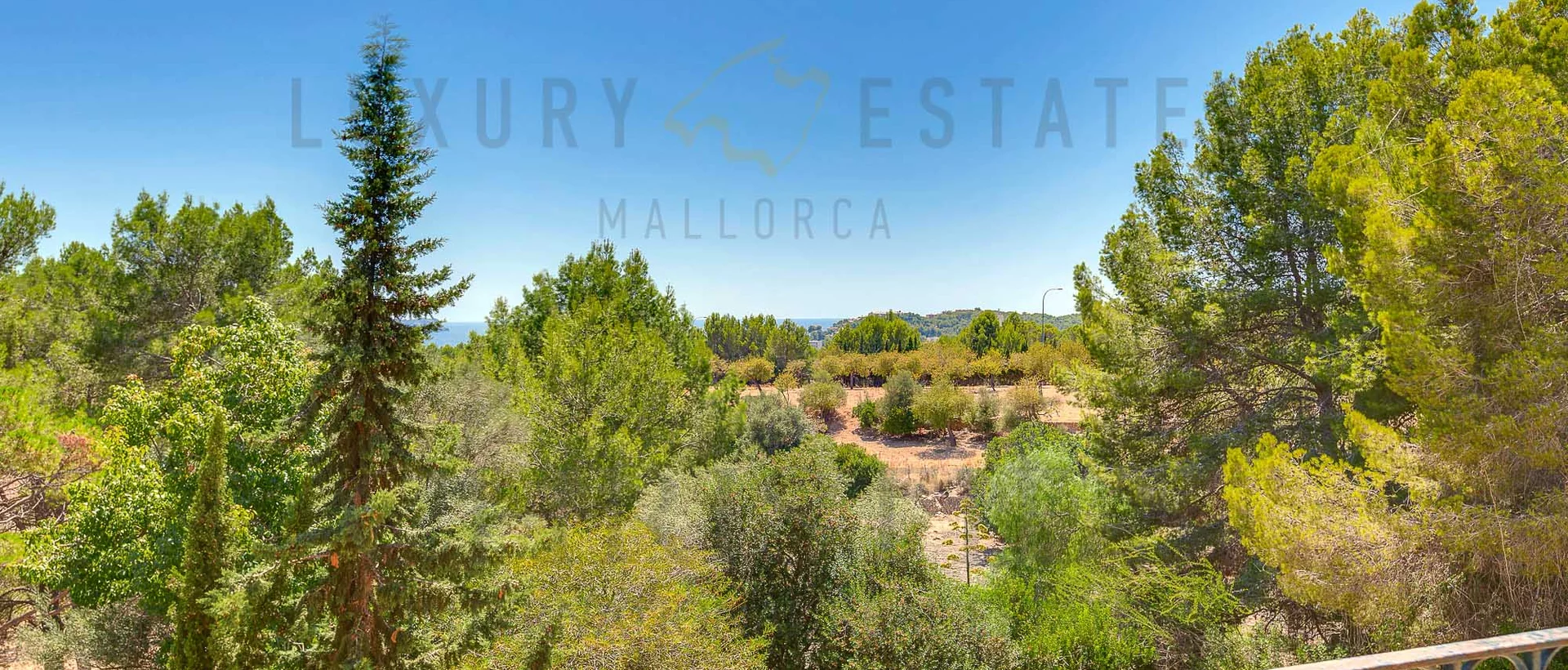 grosse mallorca finca im südwesten mit Ölmühle und nebengebäuden  12 grosse mallorca finca im südwesten mit Ölmühle und nebengebäuden  12