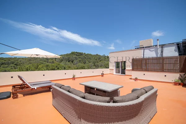 Ático en el terreno, palma 2