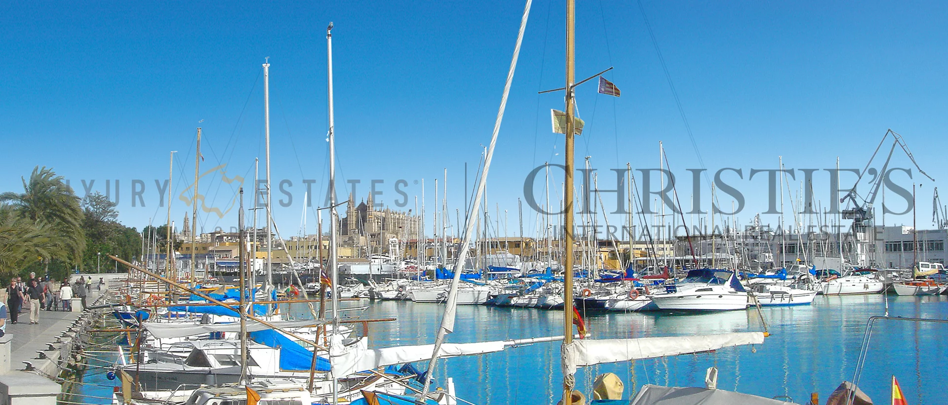 lejlighed palma 18