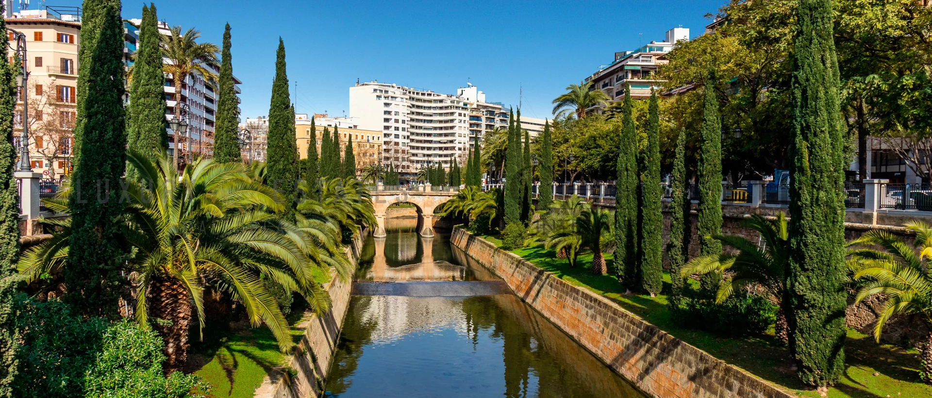 lejlighed palma 19