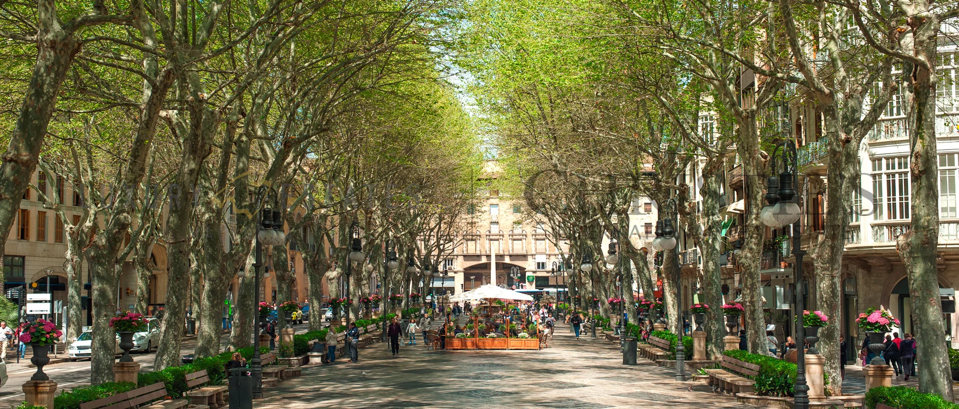 lejlighed palma 20
