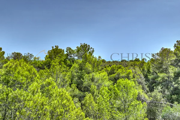 baugrundstückportals nous southwest mallorca 4 baugrundstückportals nous southwest mallorca 4