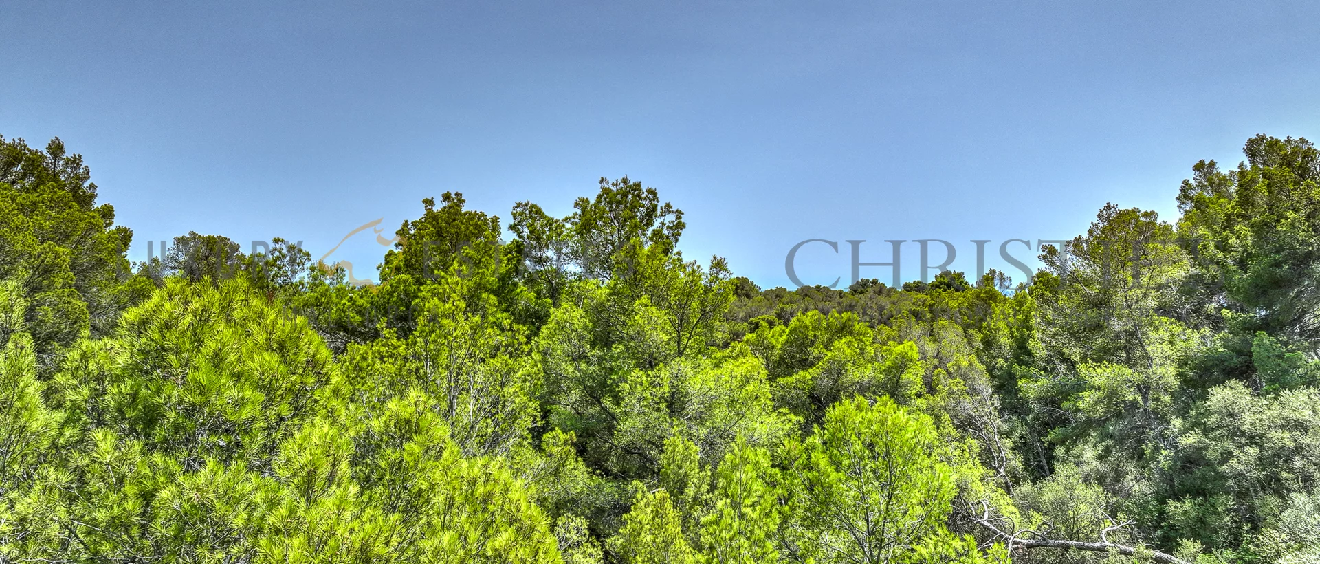 baugrundstückportals nous southwest mallorca 4