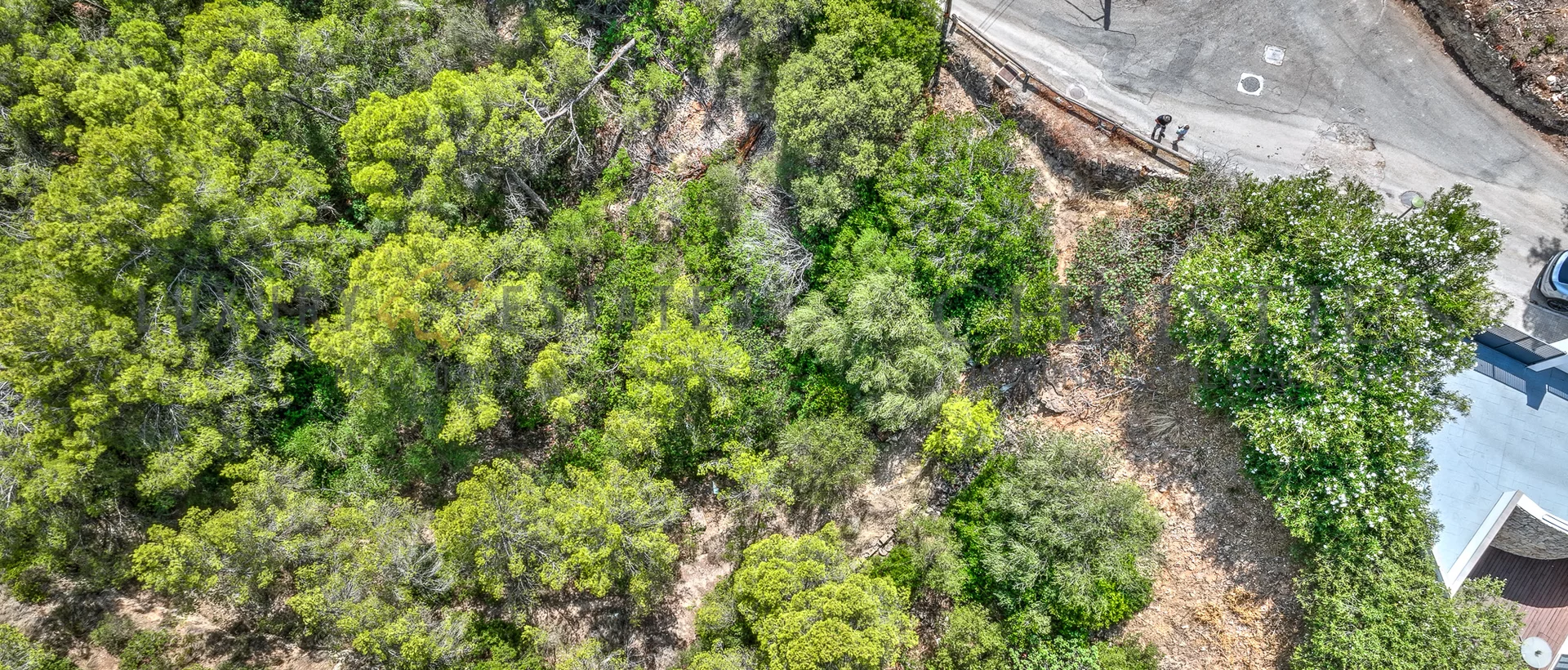 baugrundstück portals nous southwest mallorca 6
