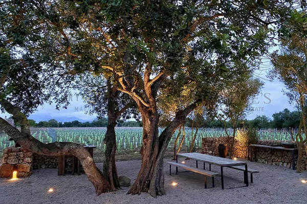 finca de vinos porreres mallorca 12