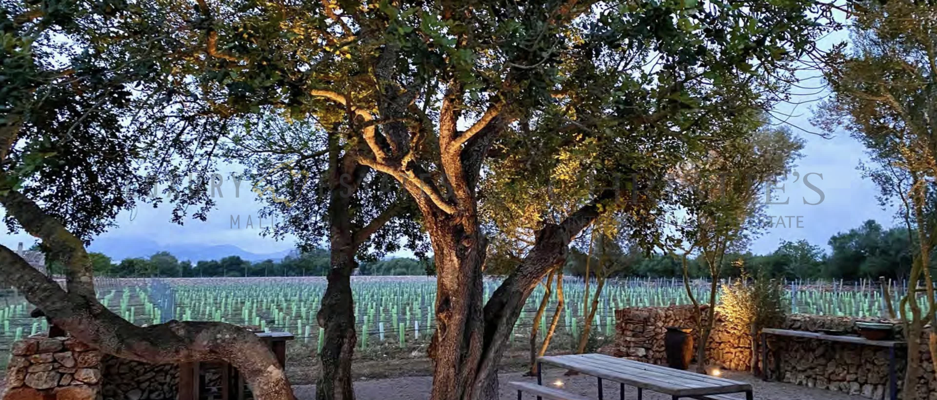 wine finca porreres mallorca 12 wine finca porreres mallorca 12