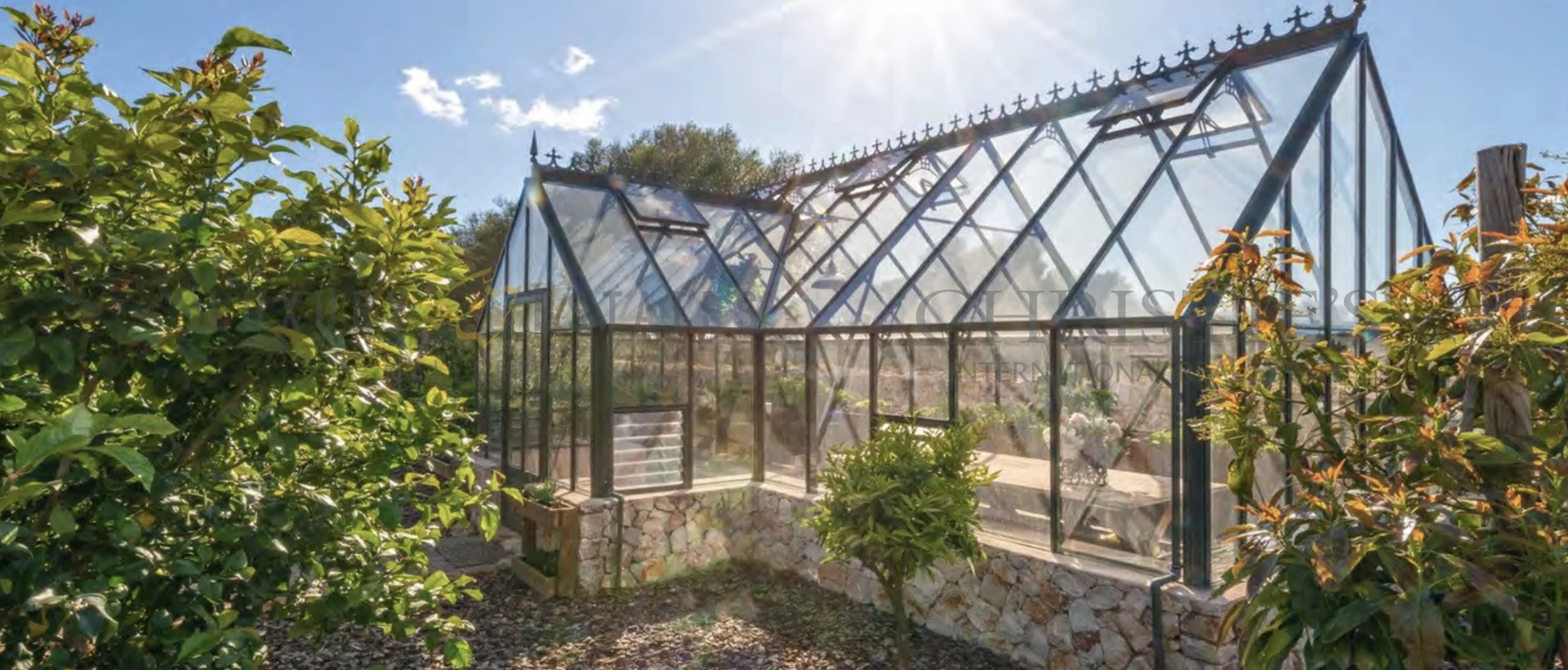 wine finca porreres mallorca 10 wine finca porreres mallorca 10