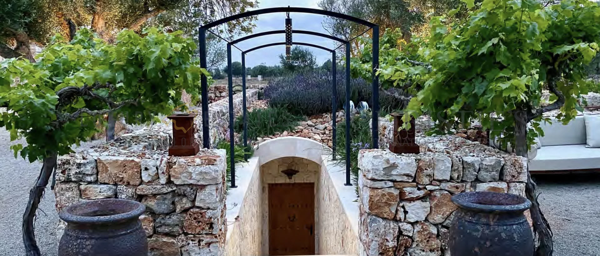 wine finca porreres mallorca 19 wine finca porreres mallorca 19