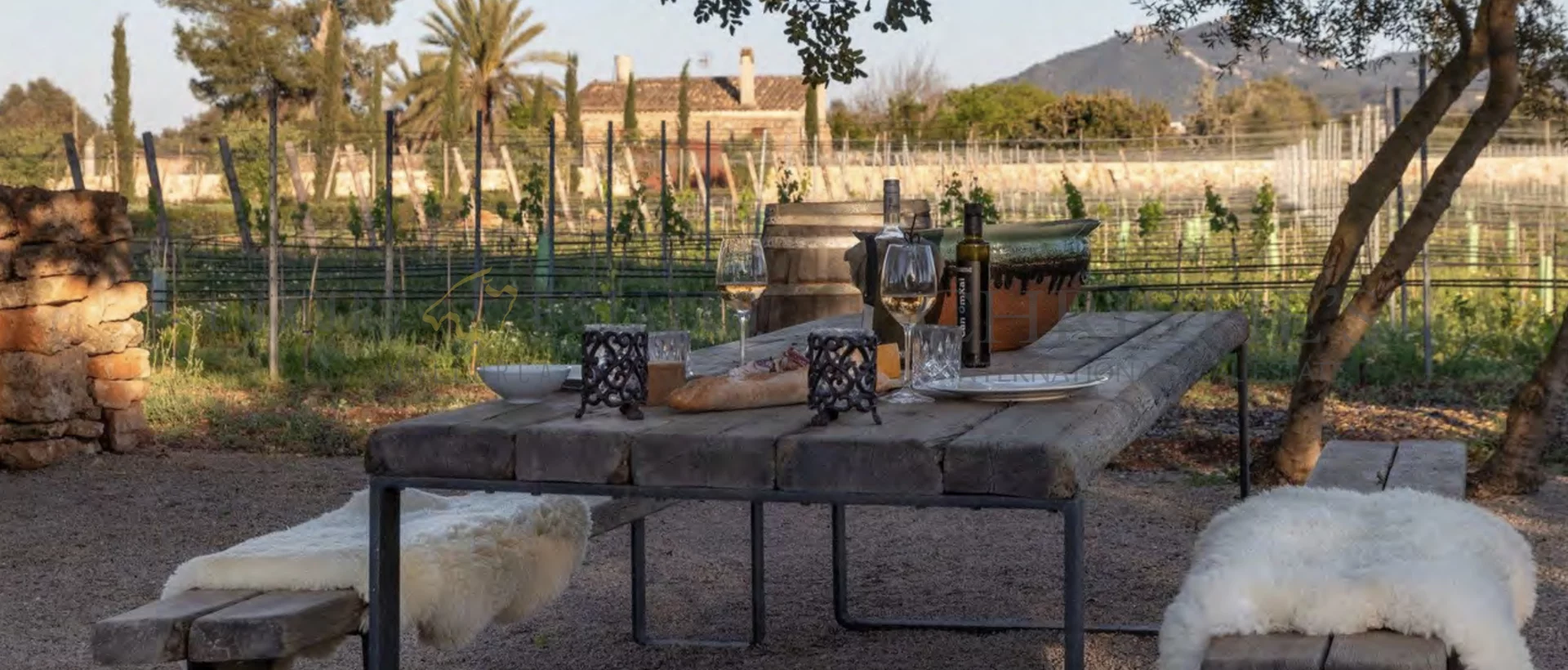 wine finca porreres mallorca 20 wine finca porreres mallorca 20