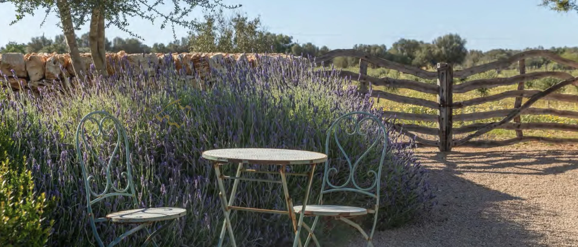 weinfinca porreres mallorca 21