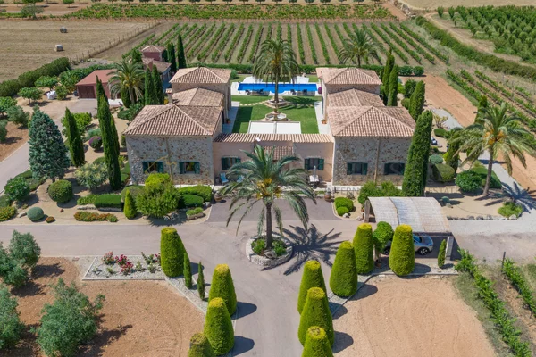 finca en porreres con piscina y viñedo