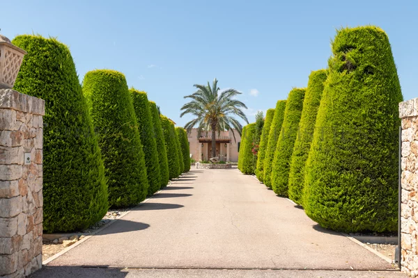finca en porreres con piscina y viñedo