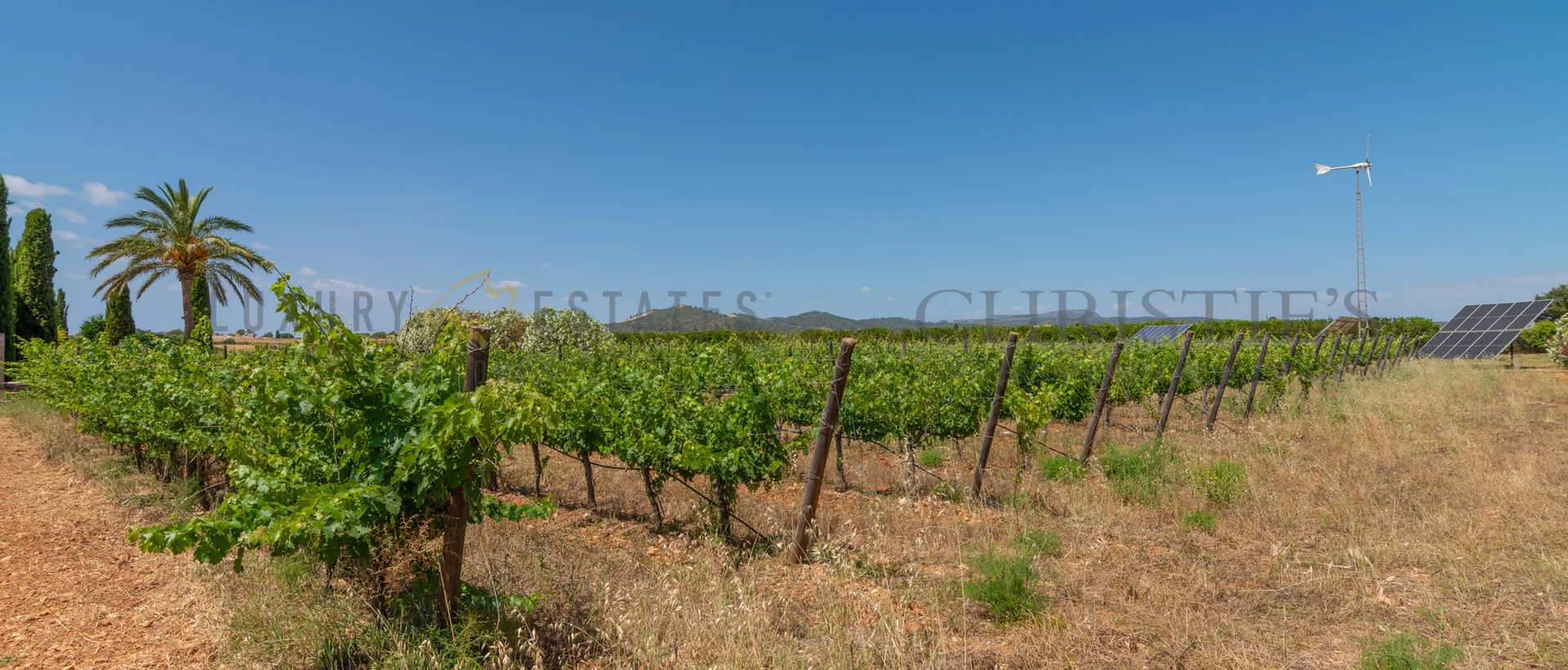 finca in porreres mit pool und weinberg 35