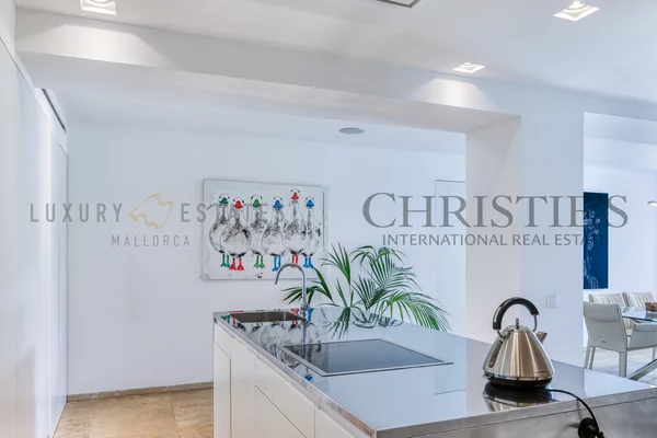 apartamento con jardín y piscina en elements portals mallorca 4