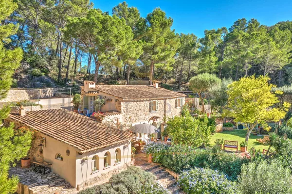 finca port andratx 21