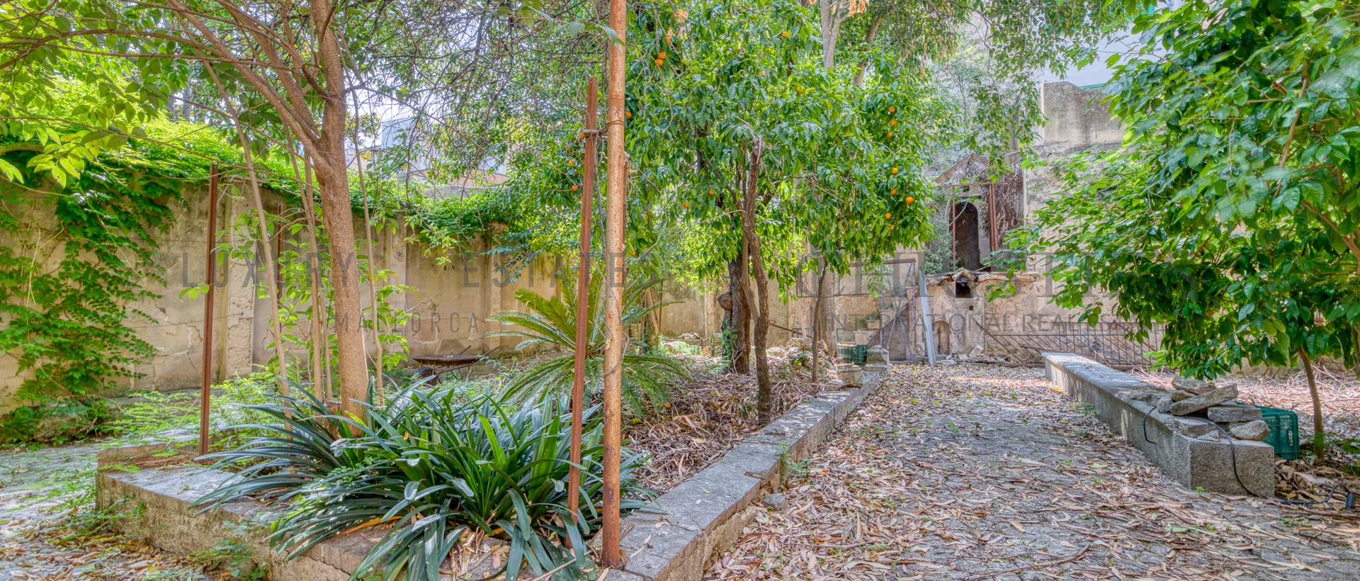 stadhaus soller 54 stadhaus soller 54