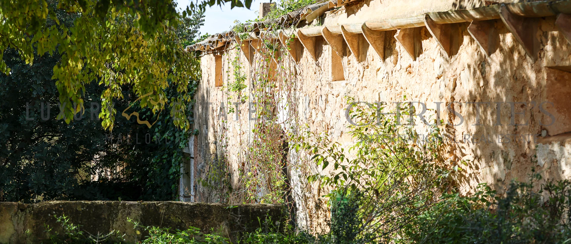 authentische finca in san lorenzo mit meerblick und möglichkeit zur landwirtschaftlichen nutzung 19