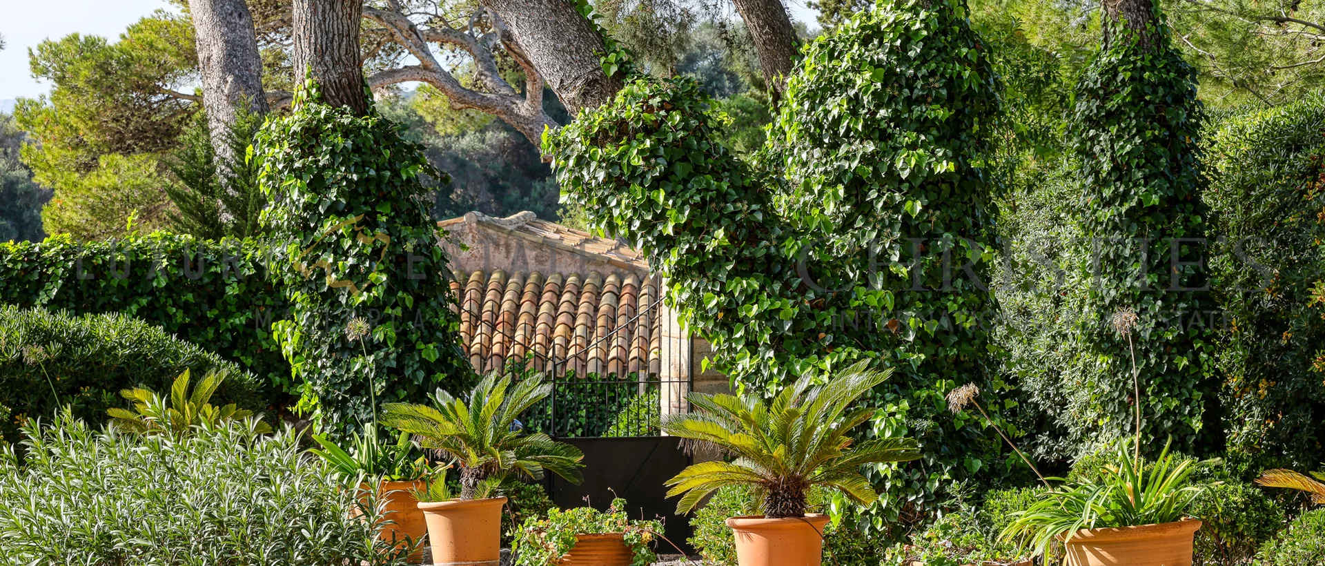 authentische finca in san lorenzo mit meerblick und möglichkeit zur landwirtschaftlichen nutzung 26