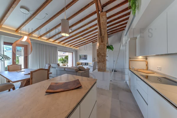 penthouse sanra maria mallorca 6