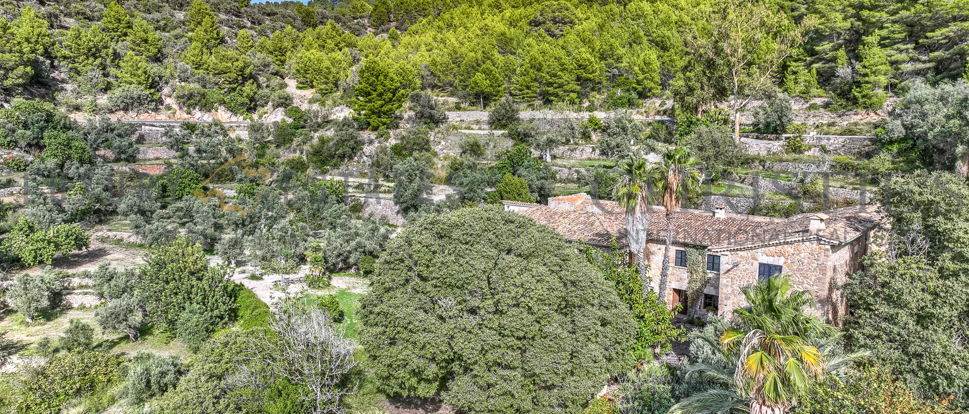 finca mallorca estellence 3