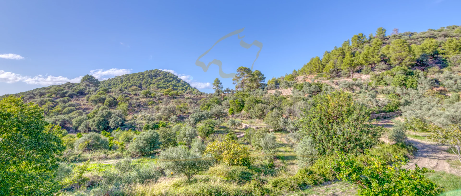 finca estellencs 28
