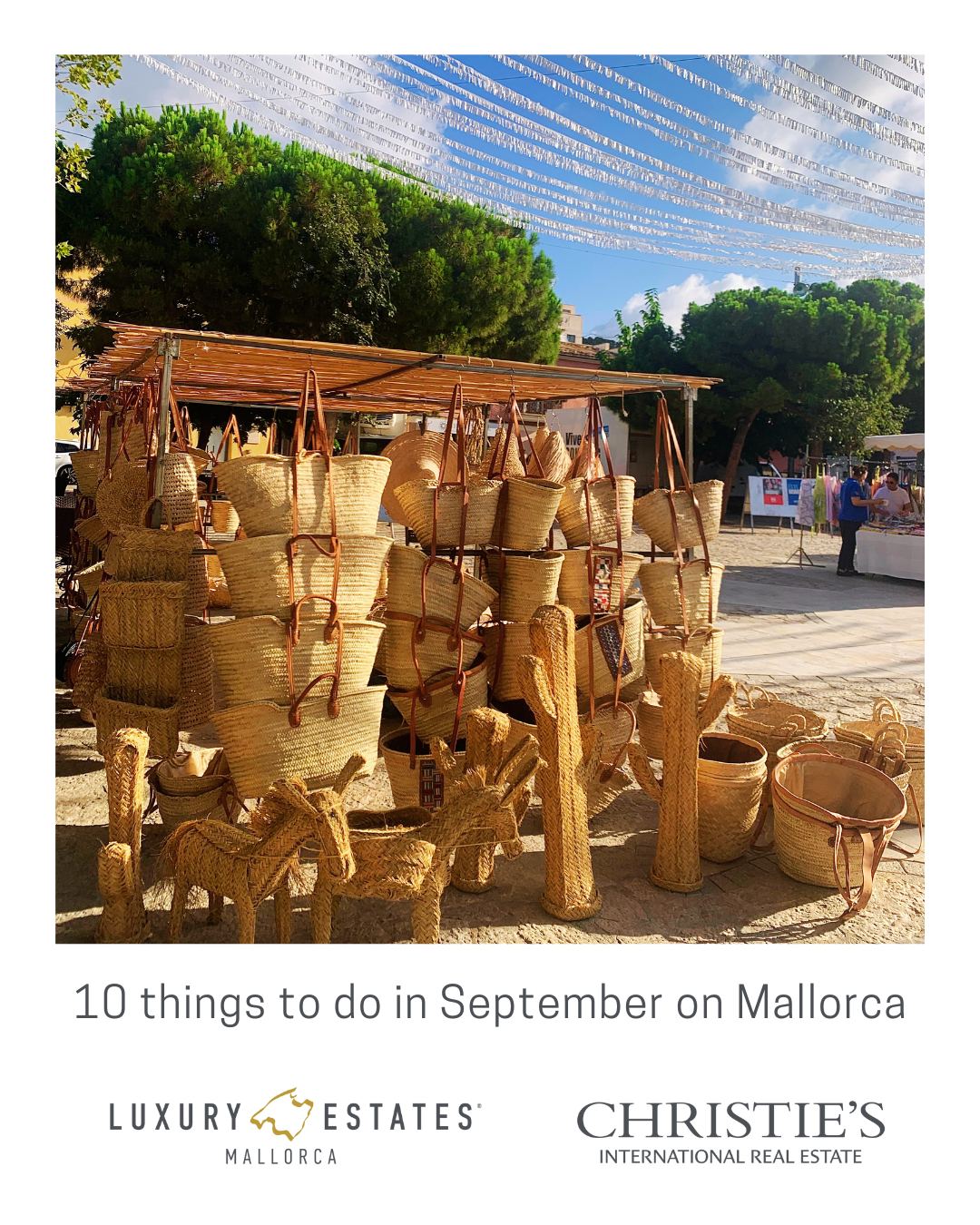 Luxury Estates Mallorca Activities September 2023